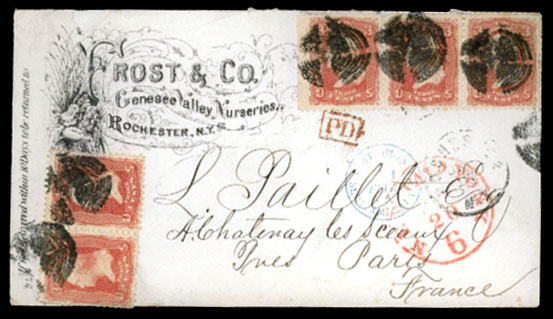 Lot 26687 - usa - Antonio Torres Early Spring private treaty sale Lot 26687 - usa - Antonio Torres Early Spring private treaty sale
