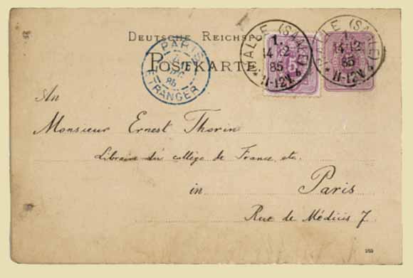 Lot 14004 - germany - Antonio Torres Early Spring private treaty sale Lot 14004 - germany - Antonio Torres Early Spring private treaty sale