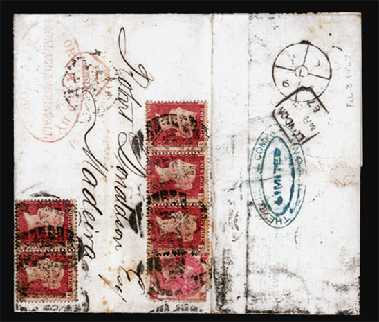 Lot 26874 - usa - Antonio Torres Early Spring private treaty sale Lot 26874 - usa - Antonio Torres Early Spring private treaty sale