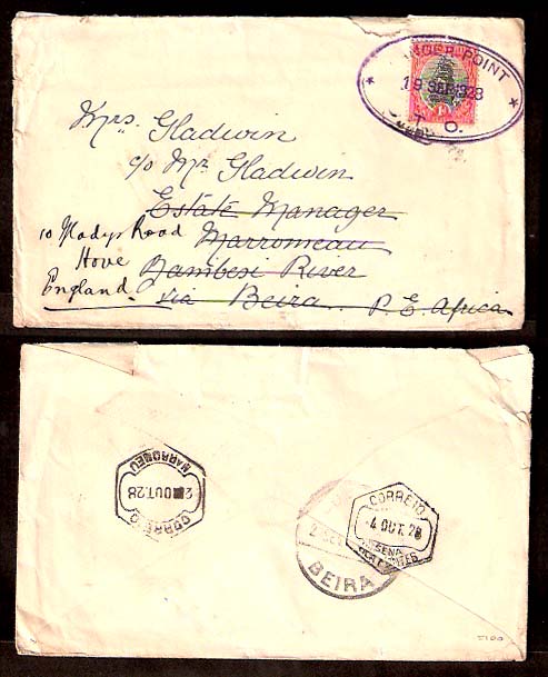 Lot 25170 - south africa - Antonio Torres Early Spring private treaty sale Lot 25170 - south africa - Antonio Torres Early Spring private treaty sale