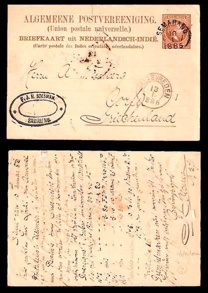 Lot 8774 - dutch indies - Antonio Torres Early Spring private treaty sale Lot 8774 - dutch indies - Antonio Torres Early Spring private treaty sale