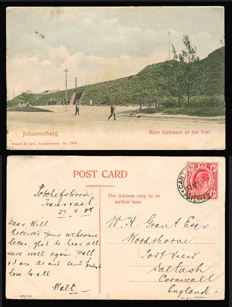 Lot 25107 - south africa - Antonio Torres Early Spring private treaty sale Lot 25107 - south africa - Antonio Torres Early Spring private treaty sale