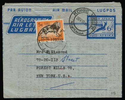 Lot 25249 - south africa - Antonio Torres Early Spring private treaty sale Lot 25249 - south africa - Antonio Torres Early Spring private treaty sale
