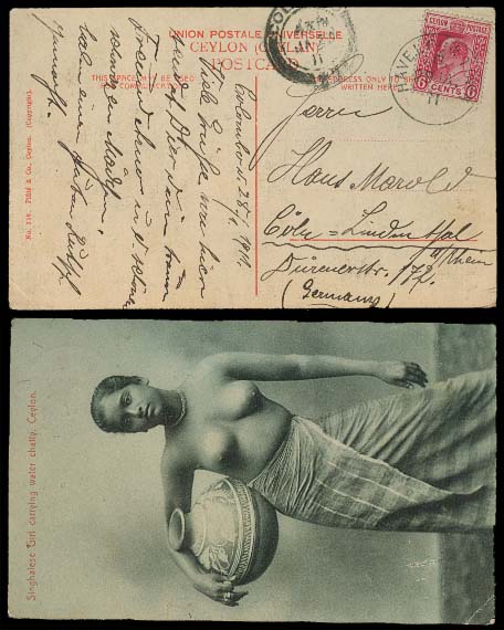 Lot 2530 - british commonwealth Ceylon - Antonio Torres Early Spring private treaty sale Lot 2530 - british commonwealth Ceylon - Antonio Torres Early Spring private treaty sale