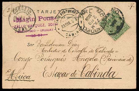 Lot 26537 - Uruguay - Antonio Torres Early Spring private treaty sale Lot 26537 - Uruguay - Antonio Torres Early Spring private treaty sale