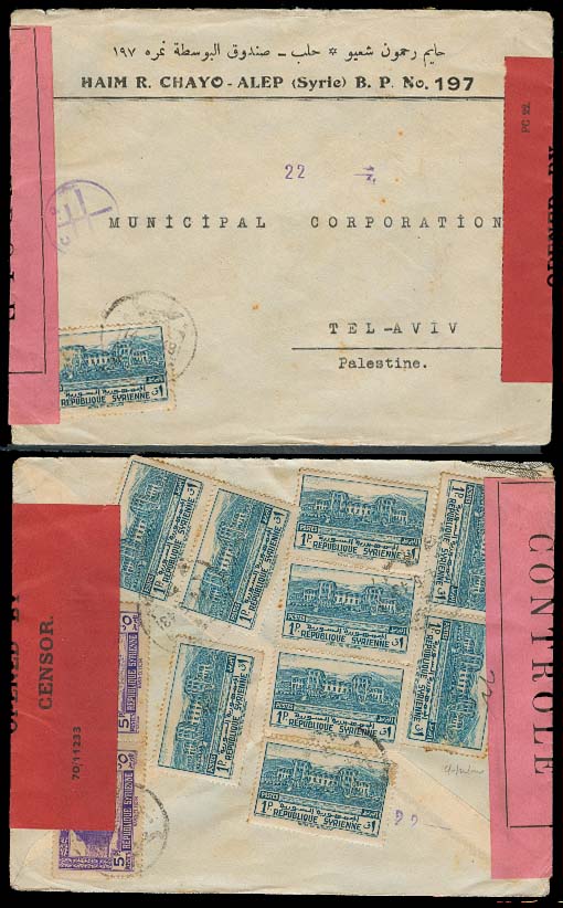 Lot 26062 - syria - Antonio Torres Early Spring private treaty sale Lot 26062 - syria - Antonio Torres Early Spring private treaty sale