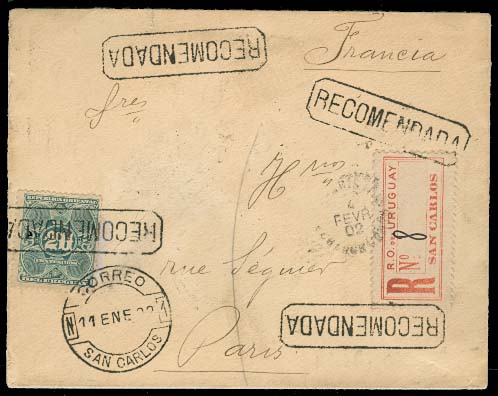 Lot 26520 - Uruguay - Antonio Torres Early Spring private treaty sale Lot 26520 - Uruguay - Antonio Torres Early Spring private treaty sale