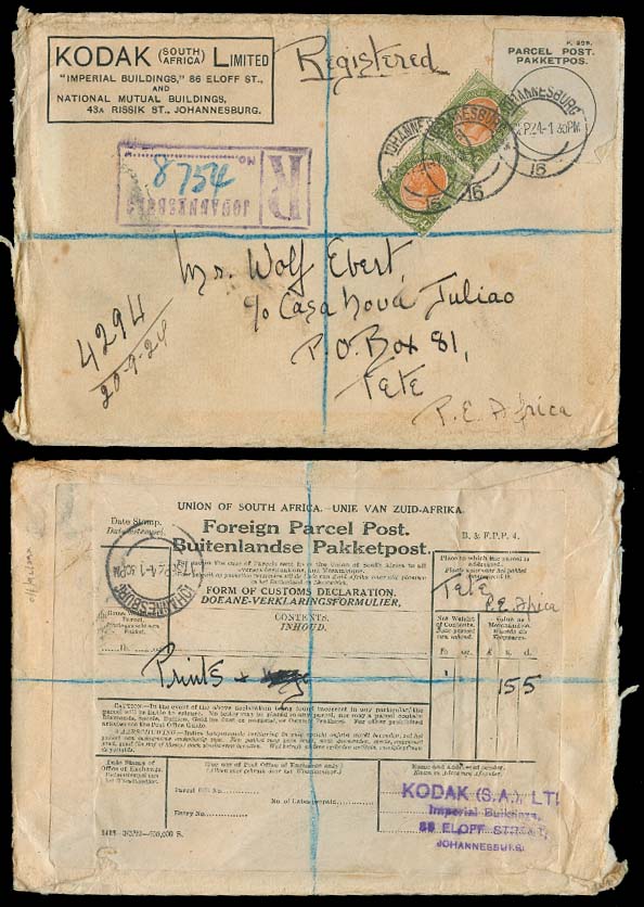Lot 25166 - south africa - Antonio Torres Early Spring private treaty sale Lot 25166 - south africa - Antonio Torres Early Spring private treaty sale
