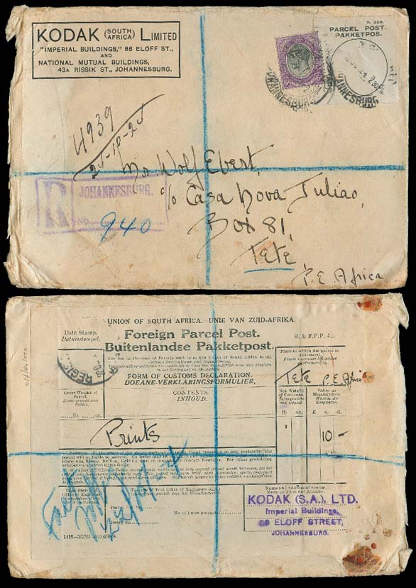 Lot 25165 - south africa - Antonio Torres Early Spring private treaty sale Lot 25165 - south africa - Antonio Torres Early Spring private treaty sale