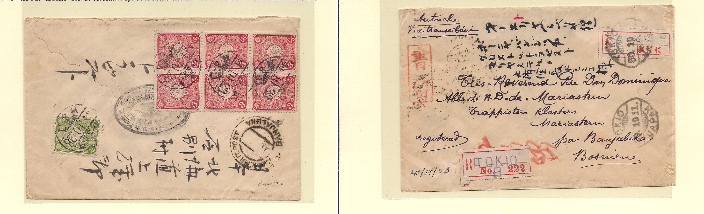 Lot 17607 - Japan - Antonio Torres Early Spring private treaty sale Lot 17607 - Japan - Antonio Torres Early Spring private treaty sale