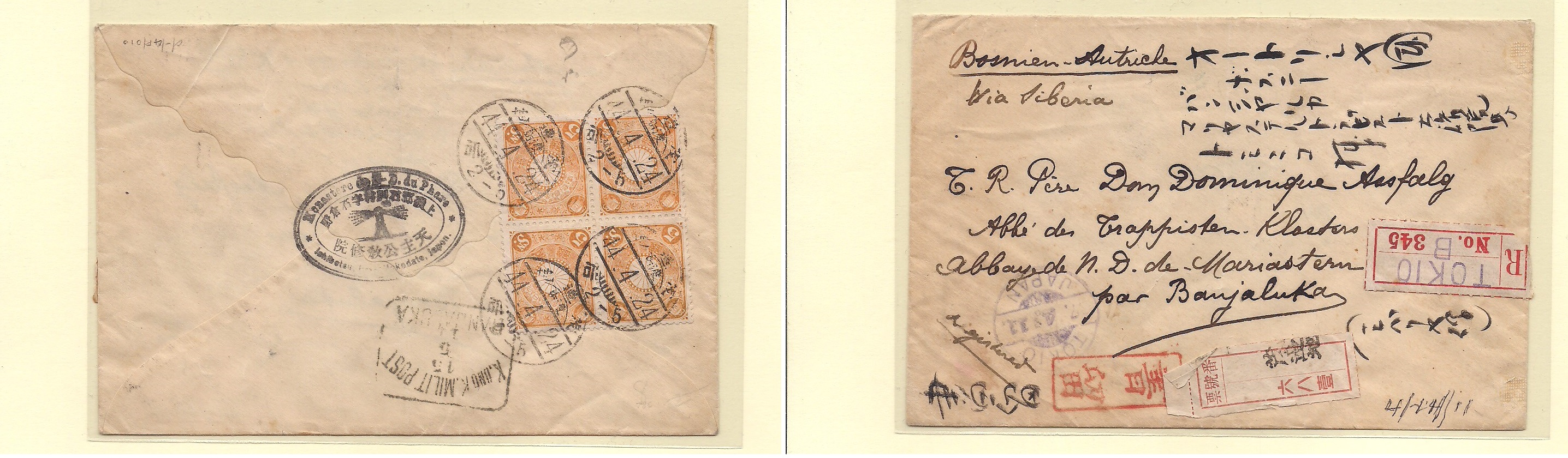 Lot 17605 - Japan - Antonio Torres Early Spring private treaty sale Lot 17605 - Japan - Antonio Torres Early Spring private treaty sale