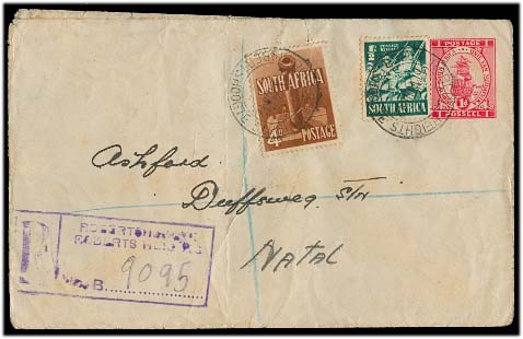 Lot 25205 - south africa  -  Antonio Torres Early Spring private treaty sale
