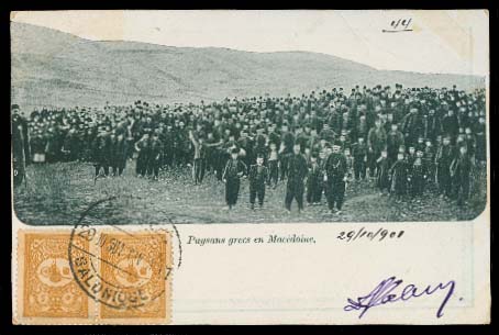 Lot 26262 - Turkey - Antonio Torres Early Spring private treaty sale Lot 26262 - Turkey - Antonio Torres Early Spring private treaty sale
