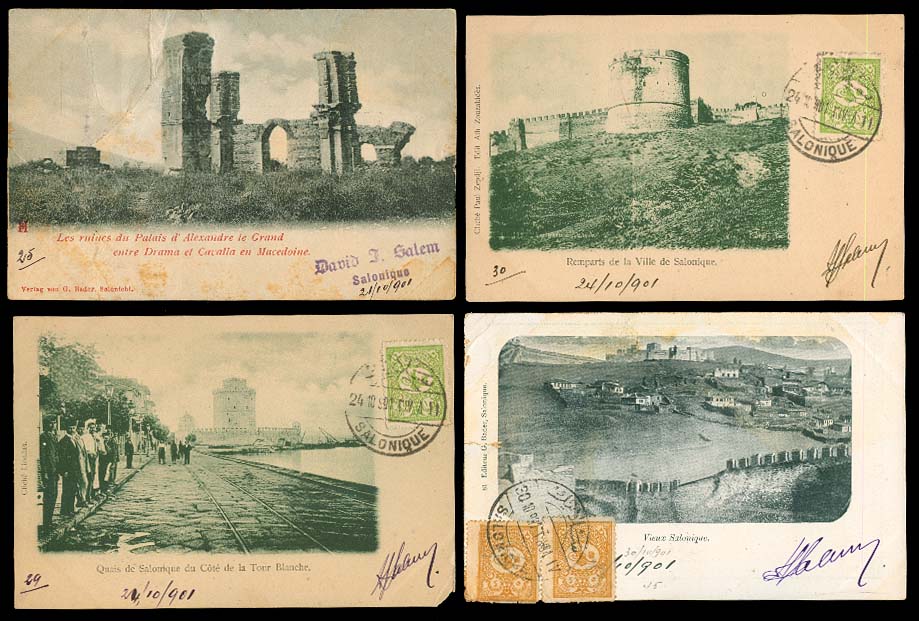 Lot 26253 - Turkey - Antonio Torres Early Spring private treaty sale Lot 26253 - Turkey - Antonio Torres Early Spring private treaty sale