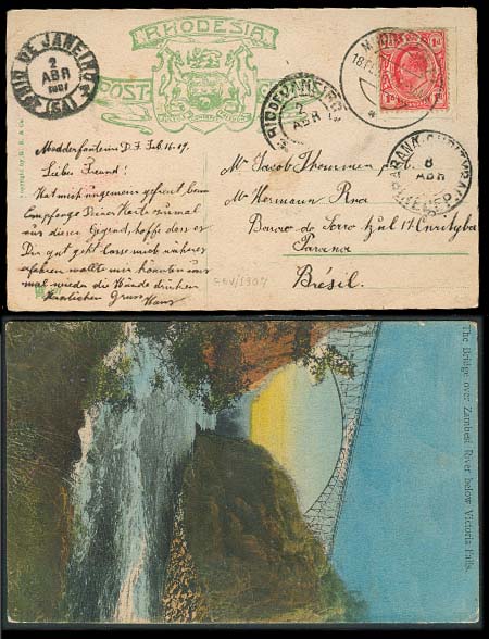 Lot 25113 - south africa - Antonio Torres Early Spring private treaty sale Lot 25113 - south africa - Antonio Torres Early Spring private treaty sale