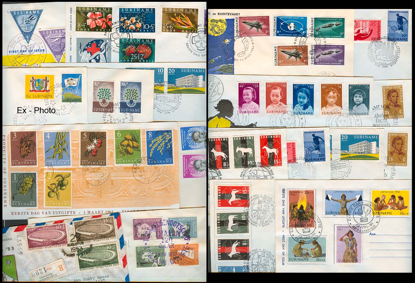 Lot 25462 - suriname - Antonio Torres Early Spring private treaty sale Lot 25462 - suriname - Antonio Torres Early Spring private treaty sale