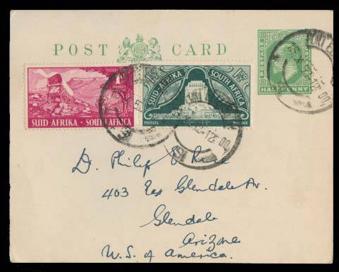 Lot 25238 - south africa - Antonio Torres Early Spring private treaty sale Lot 25238 - south africa - Antonio Torres Early Spring private treaty sale