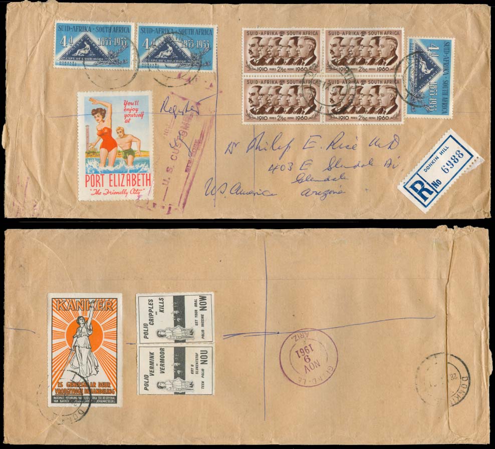 Lot 25248 - south africa - Antonio Torres Early Spring private treaty sale Lot 25248 - south africa - Antonio Torres Early Spring private treaty sale