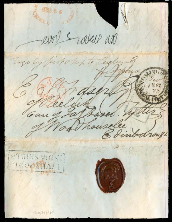 Lot 16204 - india - Antonio Torres Early Spring private treaty sale Lot 16204 - india - Antonio Torres Early Spring private treaty sale