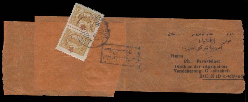 Lot 26287 - Turkey  -  Antonio Torres Early Spring private treaty sale
