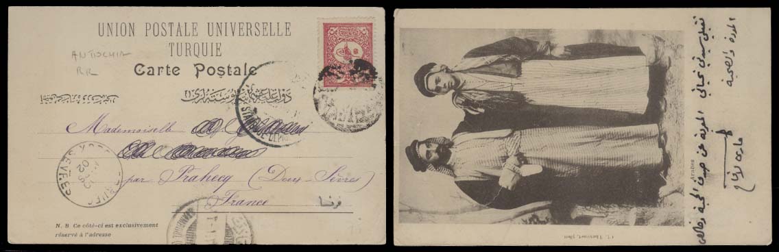 Lot 26267 - Turkey - Antonio Torres Early Spring private treaty sale Lot 26267 - Turkey - Antonio Torres Early Spring private treaty sale