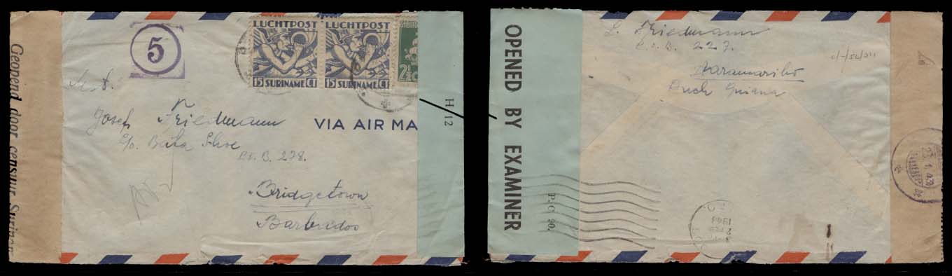 Lot 25461 - suriname - Antonio Torres Early Spring private treaty sale Lot 25461 - suriname - Antonio Torres Early Spring private treaty sale