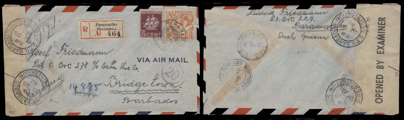 Lot 25460 - suriname - Antonio Torres Early Spring private treaty sale Lot 25460 - suriname - Antonio Torres Early Spring private treaty sale