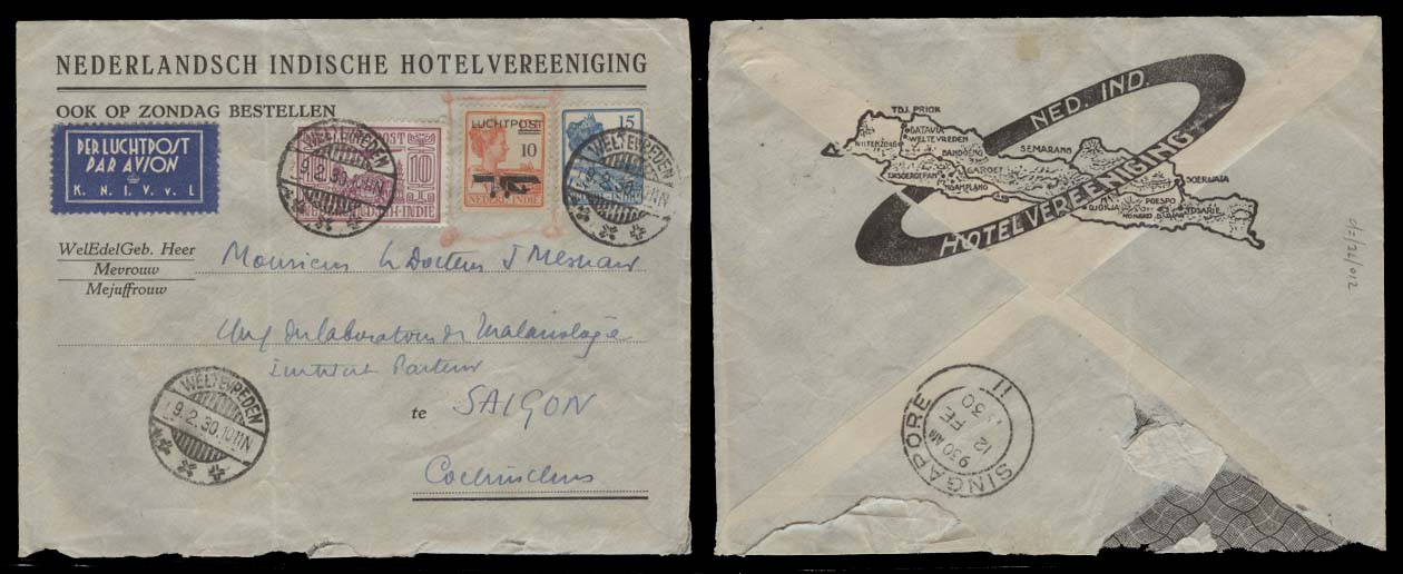 Lot 8938 - dutch indies - Antonio Torres Early Spring private treaty sale Lot 8938 - dutch indies - Antonio Torres Early Spring private treaty sale