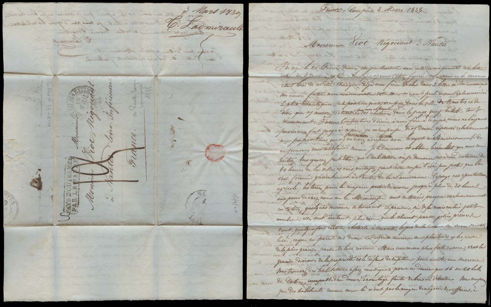 Lot 26608 - usa  -  Antonio Torres Early Spring private treaty sale