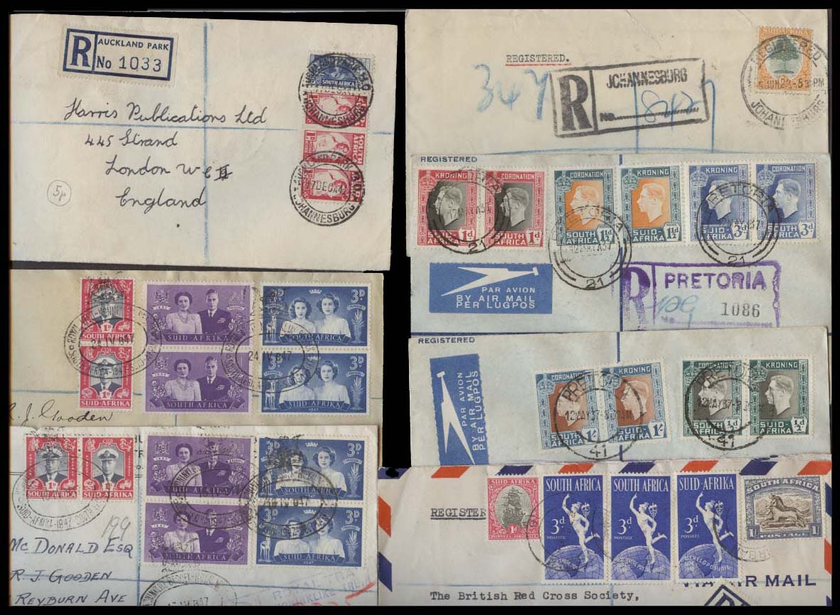 Lot 25171 - south africa - Antonio Torres Early Spring private treaty sale Lot 25171 - south africa - Antonio Torres Early Spring private treaty sale