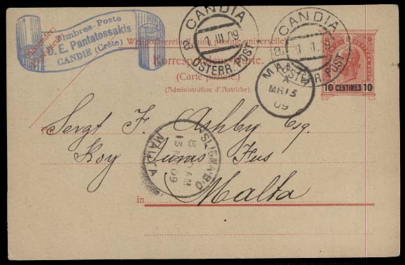 Lot 1881 - austrian levant - Antonio Torres Early Spring private treaty sale Lot 1881 - austrian levant - Antonio Torres Early Spring private treaty sale
