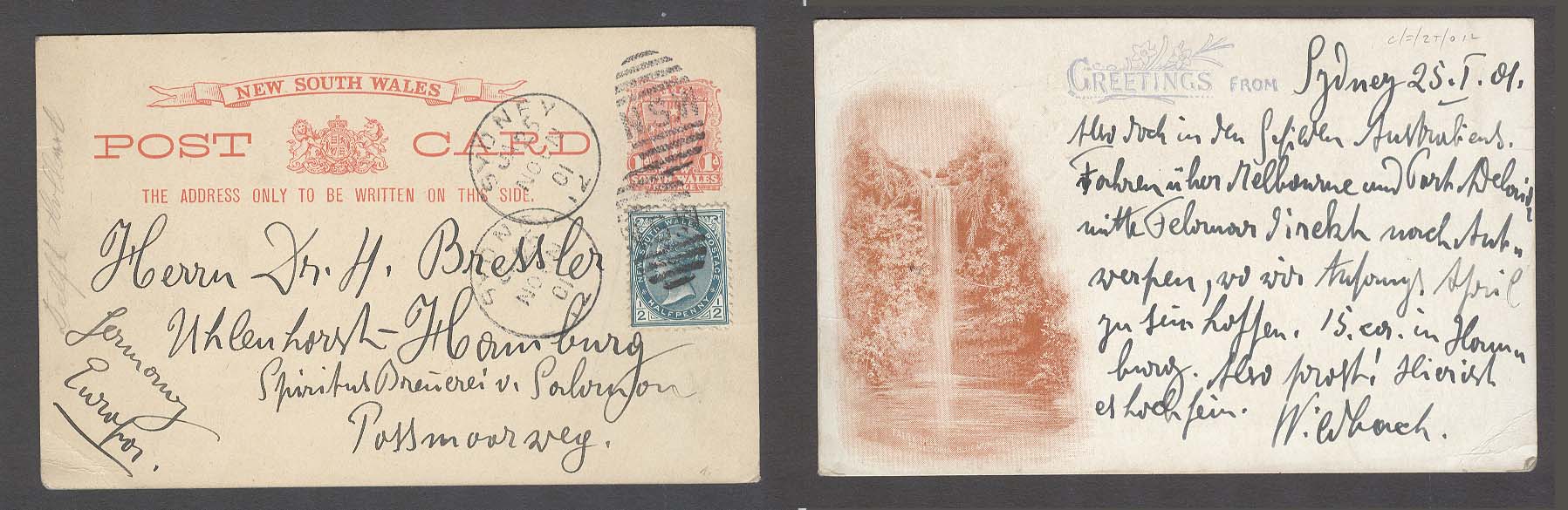 Lot 1201 - Australia  -  Antonio Torres Early Spring private treaty sale