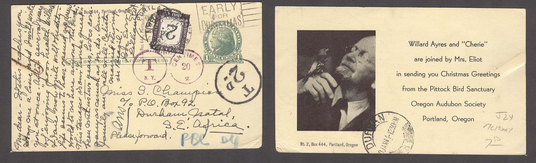 Lot 27041 - usa xx - Antonio Torres Early Spring private treaty sale Lot 27041 - usa xx - Antonio Torres Early Spring private treaty sale