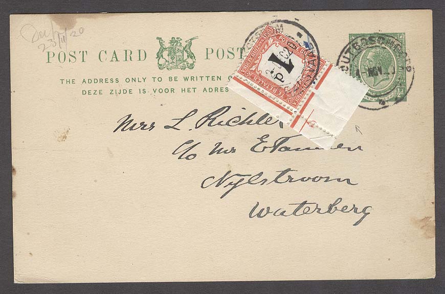Lot 25159 - south africa - Antonio Torres Early Spring private treaty sale Lot 25159 - south africa - Antonio Torres Early Spring private treaty sale