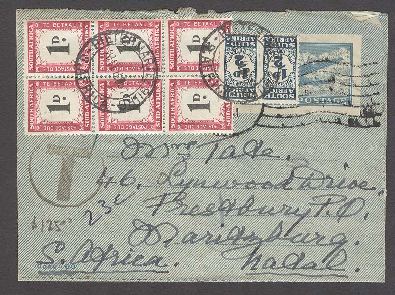 Lot 25233 - south africa - Antonio Torres Early Spring private treaty sale Lot 25233 - south africa - Antonio Torres Early Spring private treaty sale