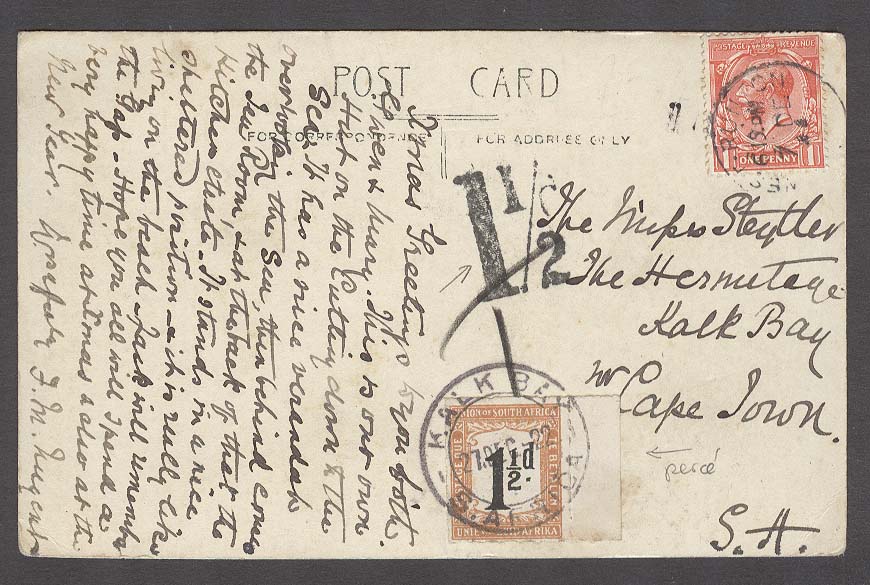 Lot 25162 - south africa - Antonio Torres Early Spring private treaty sale Lot 25162 - south africa - Antonio Torres Early Spring private treaty sale