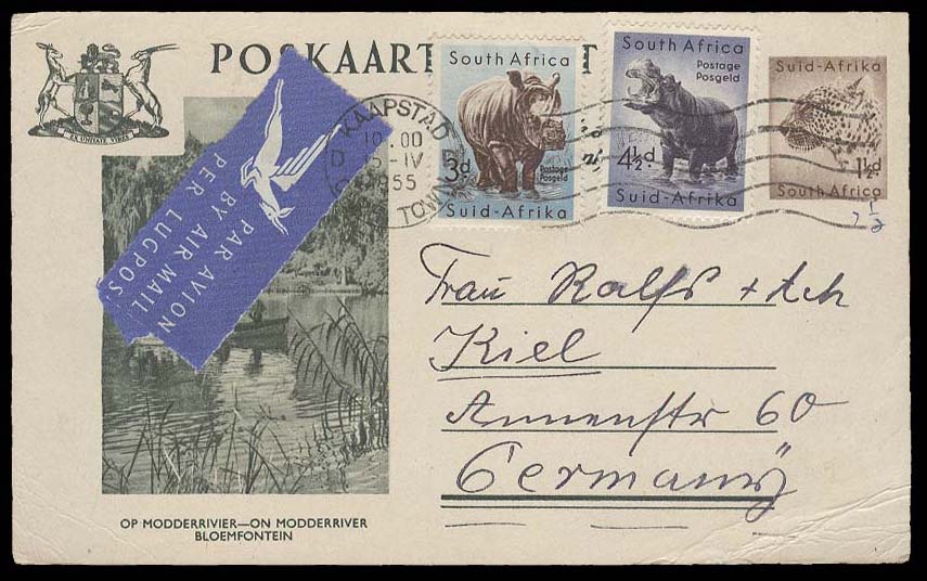 Lot 25241 - south africa - Antonio Torres Early Spring private treaty sale Lot 25241 - south africa - Antonio Torres Early Spring private treaty sale