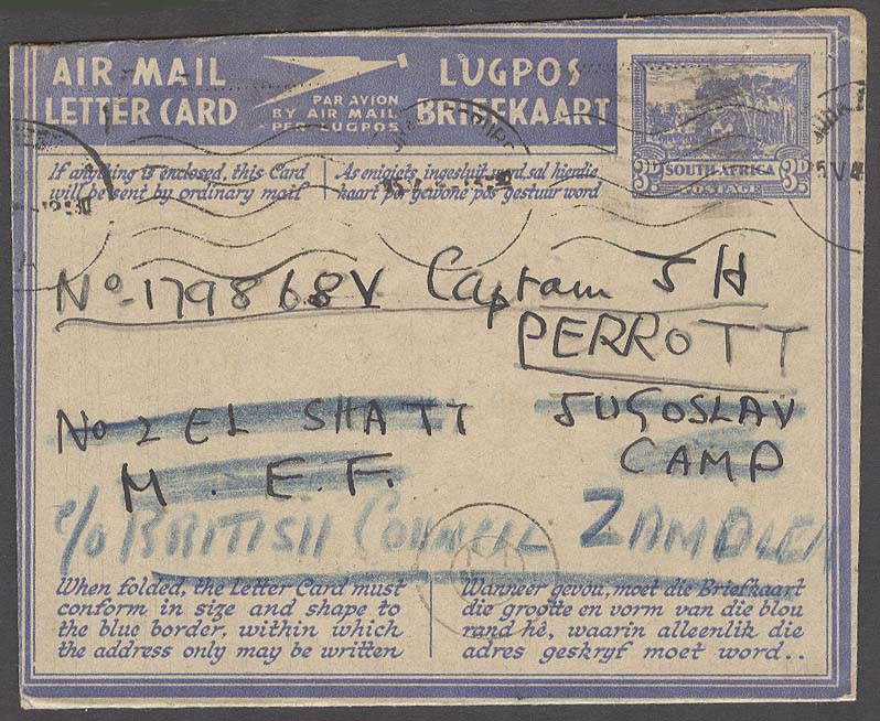 Lot 25218 - south africa  -  Antonio Torres Early Spring private treaty sale