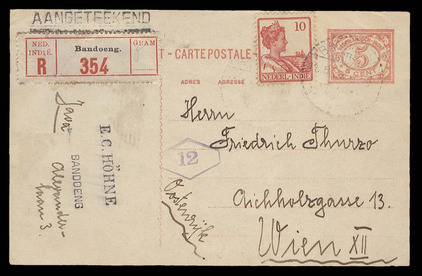 Lot 8925 - dutch indies - Antonio Torres Early Spring private treaty sale Lot 8925 - dutch indies - Antonio Torres Early Spring private treaty sale