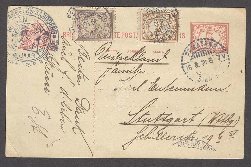 Lot 8926 - dutch indies - Antonio Torres Early Spring private treaty sale Lot 8926 - dutch indies - Antonio Torres Early Spring private treaty sale