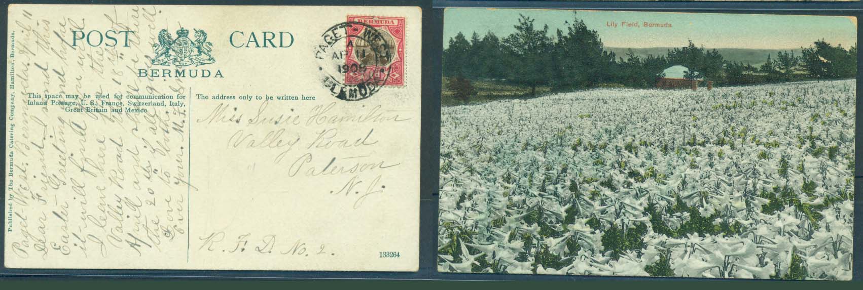 Lot 2265 - british commonwealth Bermuda - Antonio Torres Early Spring private treaty sale Lot 2265 - british commonwealth Bermuda - Antonio Torres Early Spring private treaty sale