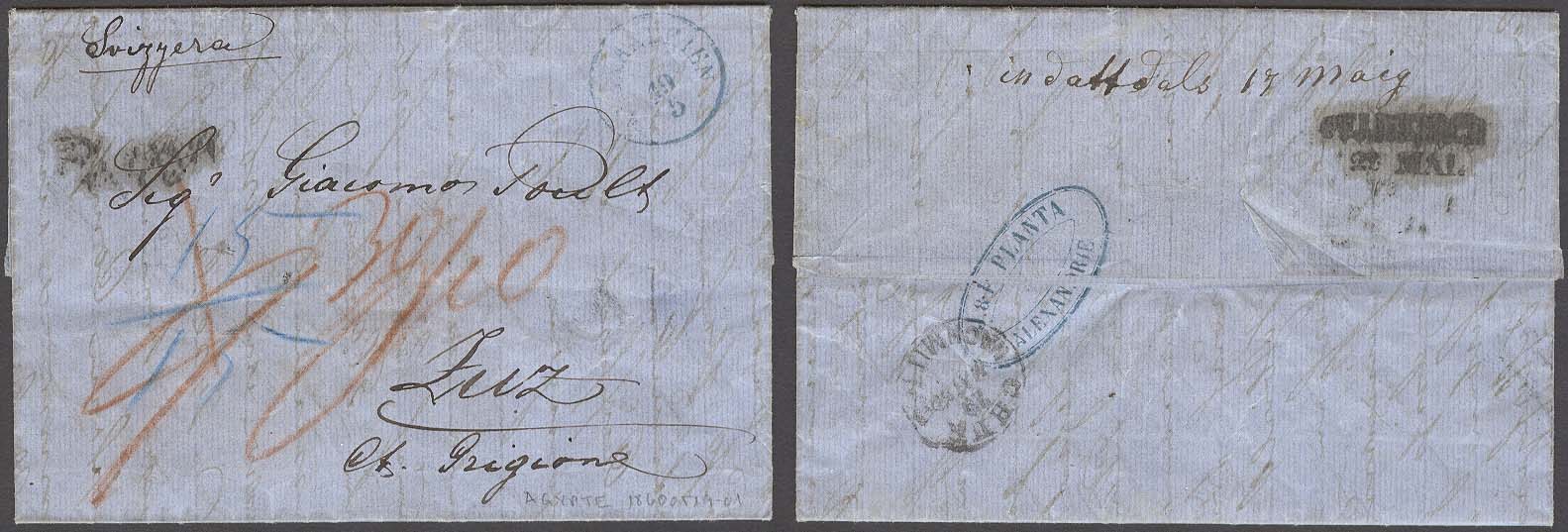 Lot 1898 - austrian levant - Antonio Torres Early Spring private treaty sale Lot 1898 - austrian levant - Antonio Torres Early Spring private treaty sale
