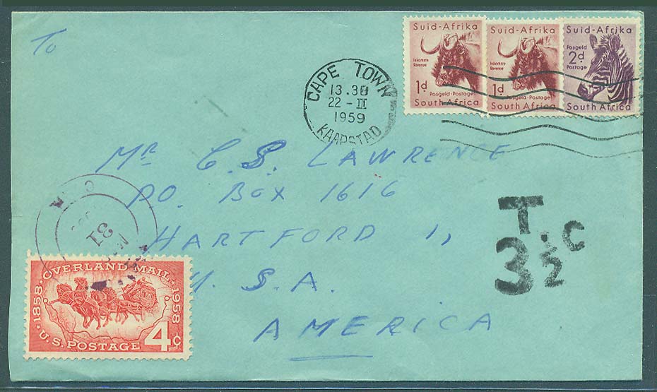 Lot 25244 - south africa - Antonio Torres Early Spring private treaty sale Lot 25244 - south africa - Antonio Torres Early Spring private treaty sale