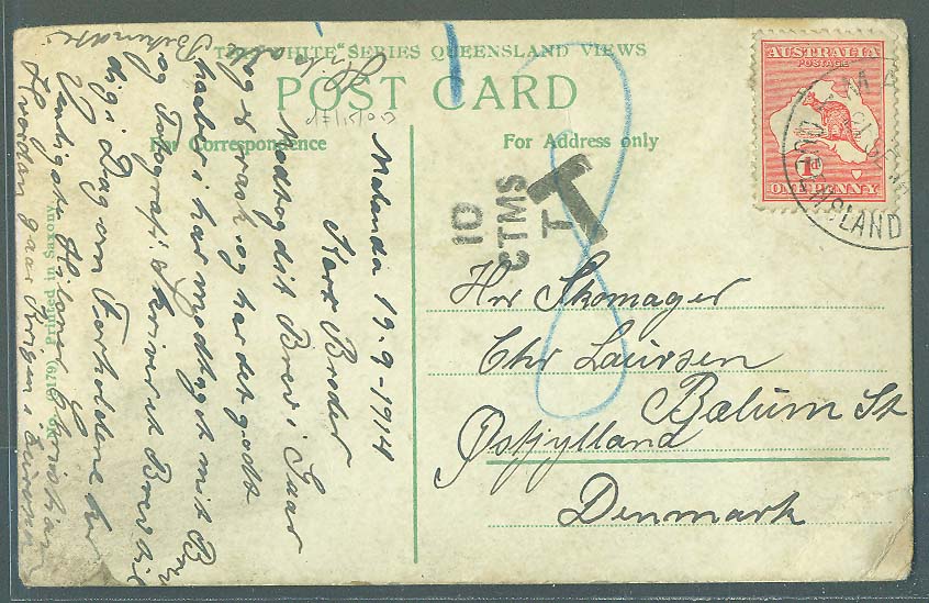 Lot 1233 - Australia  -  Antonio Torres Early Spring private treaty sale