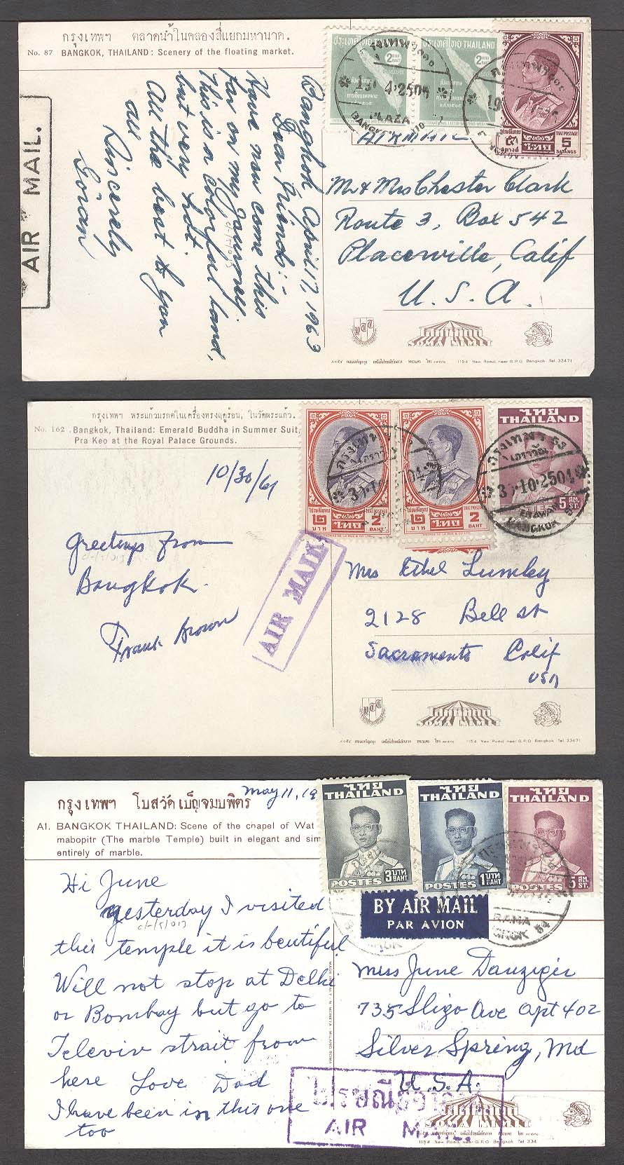 Lot 24931 - siam - Antonio Torres Early Spring private treaty sale Lot 24931 - siam - Antonio Torres Early Spring private treaty sale