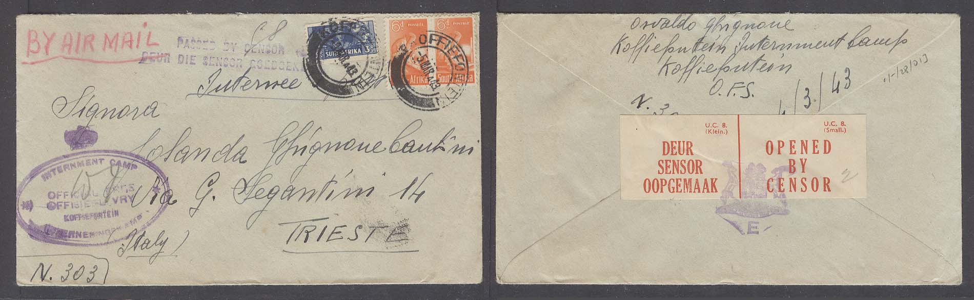 Lot 25208 - south africa  -  Antonio Torres Early Spring private treaty sale