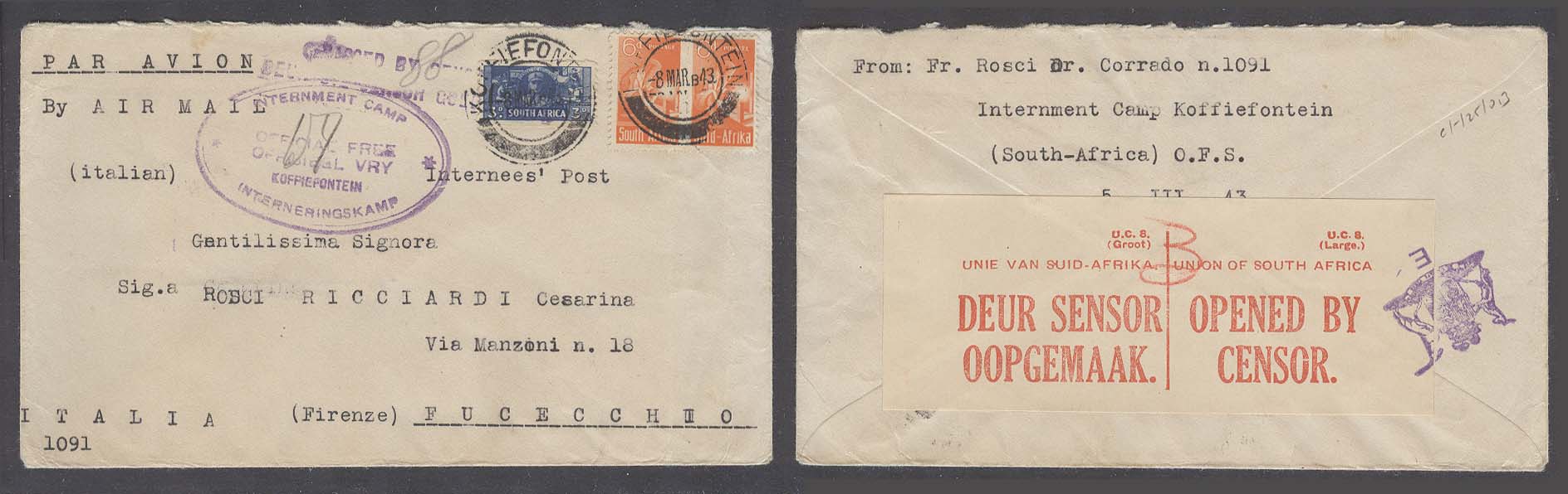 Lot 25209 - south africa  -  Antonio Torres Early Spring private treaty sale