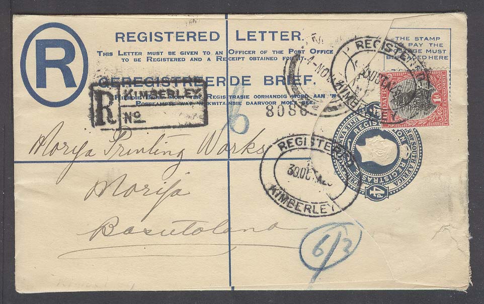 Lot 25172 - south africa - Antonio Torres Early Spring private treaty sale Lot 25172 - south africa - Antonio Torres Early Spring private treaty sale