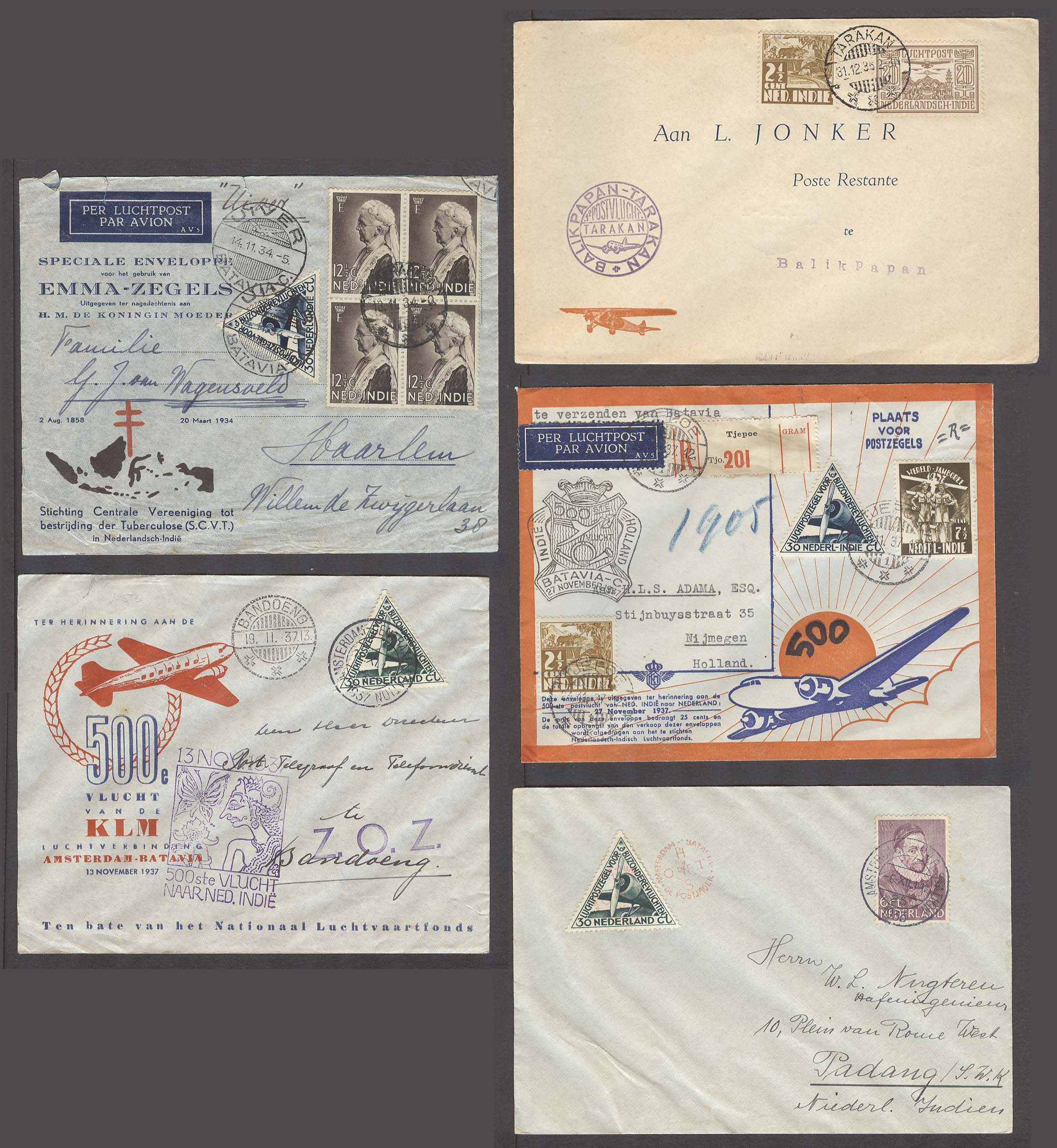 Lot 8949 - dutch indies - Antonio Torres Early Spring private treaty sale Lot 8949 - dutch indies - Antonio Torres Early Spring private treaty sale