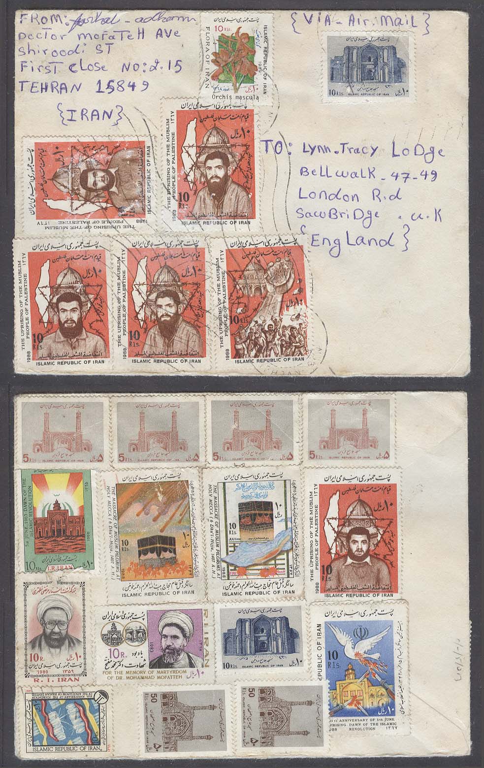 Lot 21624 - persia  -  Antonio Torres Early Spring private treaty sale